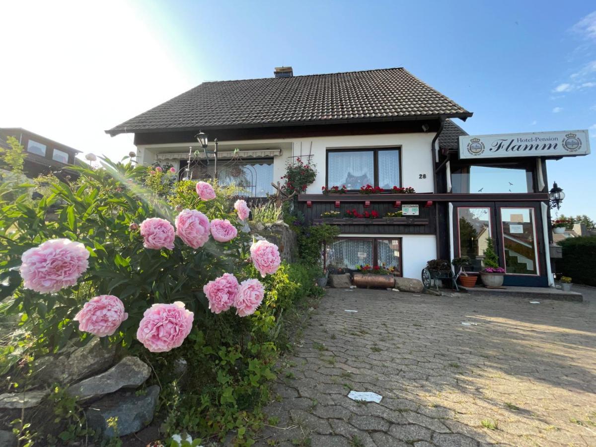 Hotel-Pension Flamm Braunlage Exteriér fotografie